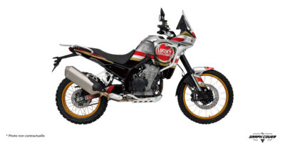 Le Kit déco Kove 800x Pro Lucky apporte une identité forte et immédiatement reconnaissable à votre Kove 800x Pro ou Rally.