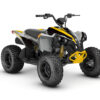 Kit déco Renegade 110 Strike compatible Can-Am Renegade 70 et 110. Design moderne, fabrication française sur vinyle premium et personnalisation au choix.